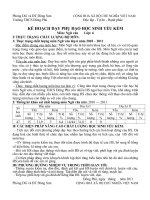 Kế hoạch dạy phụ đạo môn Ngữ văn 6, Lịch sử