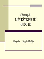 Liên kết kinh tế quốc tế