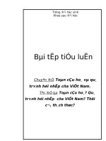 Tiểu luận toàn cầu hóa quá trình hội nhập Việt Nam