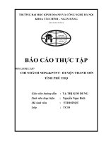 Báo cáo thực tập tại chi nhánh ngân hàng nông nghiệp và phát triển nông thôn huyện Thanh Sơn – Phú Thọ