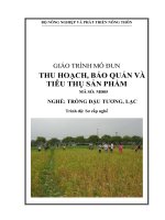 giáo trình mô đun thu hoạch bảo quản và tiêu thụ sản phẩm đậu tương lạc