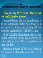 Những vấn đề cơ bản về đội TNTP Hồ Chí Minh
