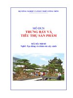 giáo trình trưng bày và tiêu thụ sản phẩm nghề chăm sóc tạo dạng cây cảnh
