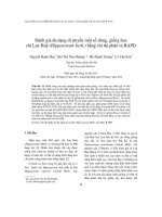 Đánh giá đa dạng di truyền một số dòng, giống hoa chi Lan Huệ (Hippeastrum herb.) bằng chỉ thị phân tử RAPD