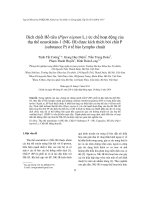 Dịch chiết Hồ tiêu (Piper nigrum L.) ức chế hoạt động của thụ thể neurokinin-1 (NK-1R) được kích thích bởi chất P (substance P) ở tế bào lympho chuột