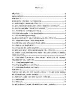 TÌNH HÌNH ỨNG DỤNG CÔNG NGHỆ THÔNG TIN VÀ THƯƠNG MẠI ĐIỆN TỬ CỦA CÔNG TY Nước sạch Hà Nội