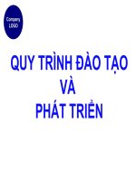 Thảo luận môn Quản lý chức năng hoạt động của tổ chức: Quy trình đào tạo và phát triển