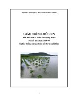 giáo trình mô đun chăm sóc rừng đước