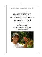 giáo trình mô đun điều khiển quá tình ra hoa đậu quả nghề trồng vải nhãn