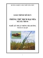 giáo trình mô đun phòng trừ dịch hại mía