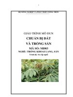 giáo trình mô đun chuẩn bị đát và trồng sắn
