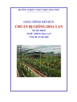 giáo trình mô đun chuẩn bị giống hoa lan