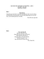 Đề thi viết chữ đẹp cấp trường lớp2