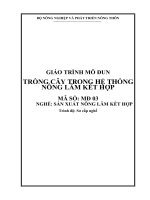 giáo trình mô đun trồng cây trong hệ thống nông lâm kết hợp