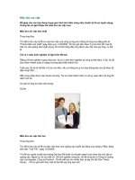 Mẫu thư xin việc.DOC