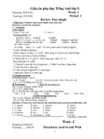 Giáo án phụ tiếng anh 9