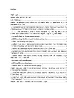 ĐÁNH GIÁ TÌNH HÌNH HOẠT ĐỘNG THƯƠNG MẠI ĐIỆN TỬ CỦA CÔNG TY CỔ PHẦN ĐẦU TƯ  THƯƠNG MẠI VÀ DỊCH VỤ HẢI ANH
