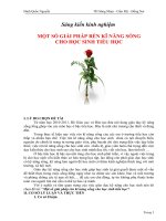 Một số giải pháp rèn kỹ năng sống học sinh tiểu học