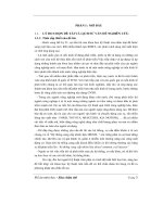 Đồ án môn học sửa chữa ô tô hệ thống cung cấp nhiên liệu diesel common rail injecter