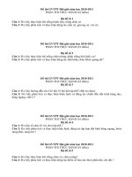 ĐỀ THI TPT ĐỘI GIỎI (THỰC HÀNH)