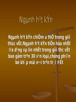 Bài thao luan sinh hoc 8 - tập 2