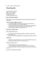 CV mẫu viết theo dạng trách nghiệm