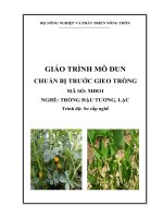 giáo trình mô đun chuẩn bị trước gieo trồng nghề trồng đậu tương lạc