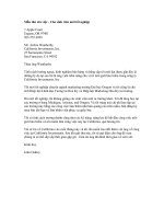 Mẫu đơn CV cho sinh viên mới tốt nghiệp