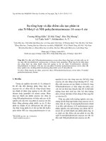 Sự tổng hợp và đặc điểm cấu tạo phân tử của N-Metyl và NH-pehyđrotriazinoaza-14-crao-4 ete
