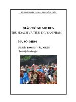 giáo trình mô đun thu hoạch và tiêu thụ sản phảm