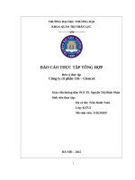 Báo cáo thực tập tổng hợp Quản trị nhân lực Công ty cổ phần 116 – Cienco1