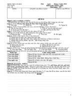 Ngữ văn 8-Kiểm tra Tiếng việt  45phút