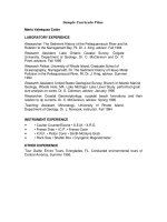 Sample Curricula Vitae