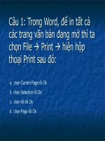 trắc nghiệm Tin học 6 hk2