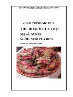 giáo trình mo đun thu hoạch cua thị nghề nuôi cua biển
