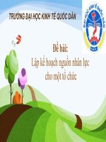 Thảo luận môn Quản lý chức năng hoạt động của tổ chức: Lập kế hoạch nguồn nhân lực cho 1 tổ chức