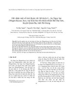 Ghi nhận một số loài thuộc chi Michelia L., họ Ngọc lan (Magnoliaceae Juss.) tại Khu bảo tồn thiên nhiên Bát Đại Sơn, huyện Quản Bạ, tỉnh Hà Giang