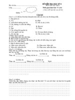 de thi hoc ky 2 2010 - 2011