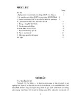 Tiểu luận vận dụng tư tưởng Hồ Chí Minh và CNXH vào con đường đi lên CNXH của đảng CSVN