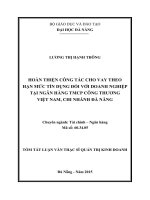 Hoàn thiện công tác cho vay theo hạn mức tín dụng đối với doanh nghiệp tại ngân hàng TMCP công thương - chi nhánh Đà Nẵng