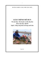 giáo trình mô đun thu hoạch và tiêu thụ tôm