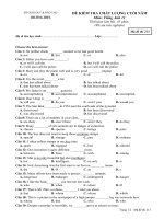 De thi cuoi nam 11(4 ma de_213