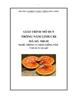 giáo trình mô đun trồng nấm linh chi