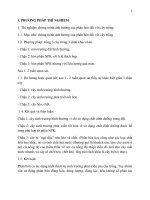 Tiểu luận chủ đề CÁC PHƯƠNG PHÁP GIÁO DỤC MÔI TRƯỜNG