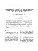 Nghiên cứu khả năng phát hiện và ảnh hưởng lẫn nhau của các hang rỗng trên mô hình lý thuyết và kiểm nghiệm thực tế bằng phương pháp Ra đa đất