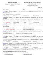 Bộ đề thi thử THPT Quốc gia 2015 môn Tiếng Anh trường THPT Chuyên Huỳnh Mẫn Đạt, Kiên Giang phần trắc nghiệm