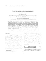 Projektarbeit im Dolmetschunterricht