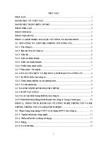 PHÂN TÍCH, ĐÁNH GIÁ VỀ CÔNG NGHỆ THÔNG TIN VÀ HỆ THỐNG THÔNG TIN CỦA CÔNG TY HANELSOFT