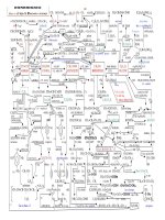 So do pan ung hoa hoc huu co