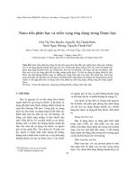 Nano tiểu phân bạc và triển vọng ứng dụng trong Dược học